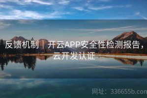 反馈机制｜开云APP安全性检测报告，云开发认证