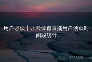 用户必读｜开云体育直播用户活跃时间段统计