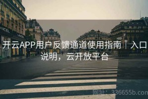 开云APP用户反馈通道使用指南｜入口说明，云开放平台