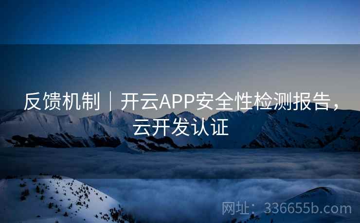 反馈机制|开云APP安全性检测报告,云开发认证 反馈机制|开云APP安全性检测报告,云开发认证