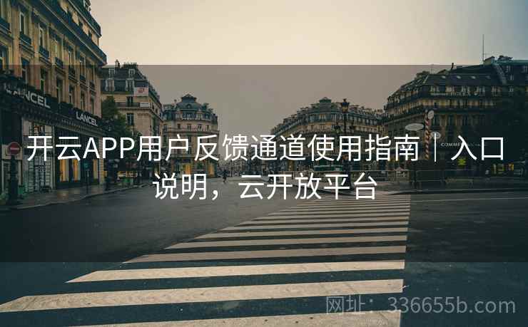 开云APP用户反馈通道使用指南｜入口说明，云开放平台